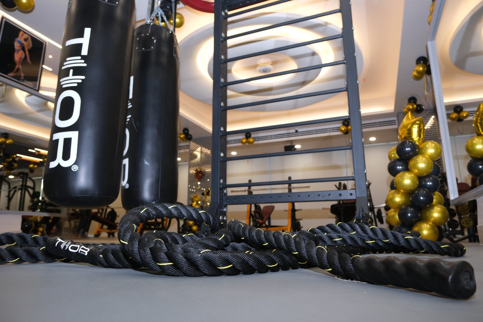 Functional Training Arena